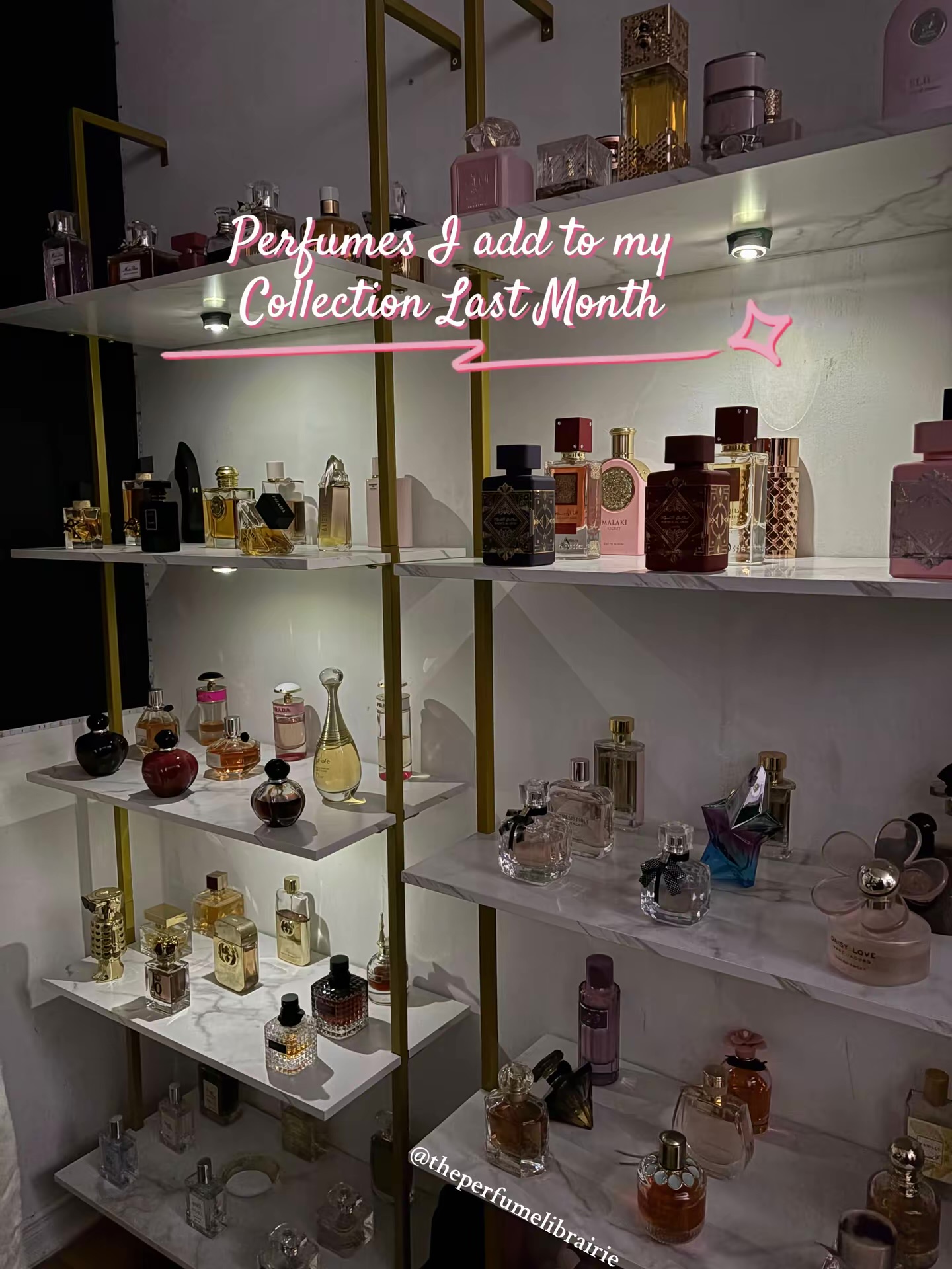 Luxury perfume collection shelf with niche and designer fragrances The Perfume Librarie